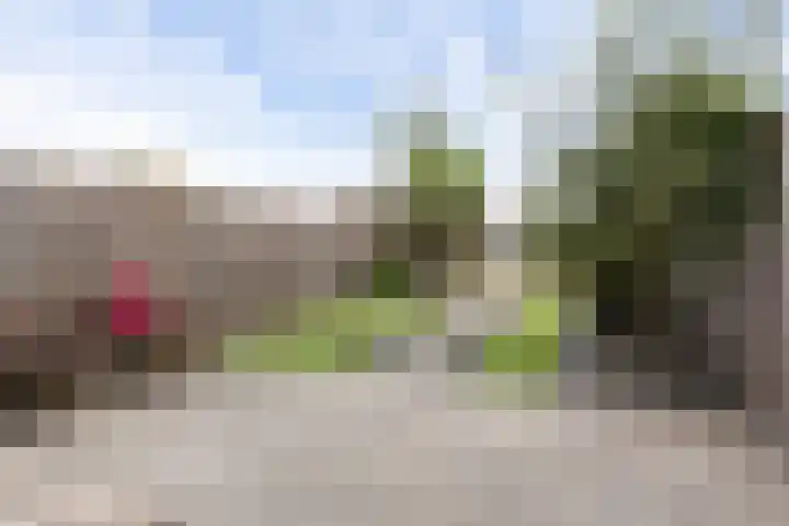 Icarusblauwtje 98 Apeldoorn thumbnail 11