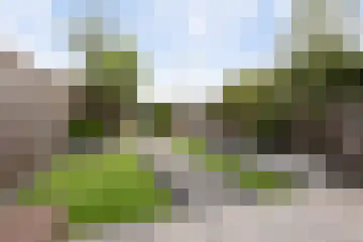 Icarusblauwtje 98 Apeldoorn thumbnail 12