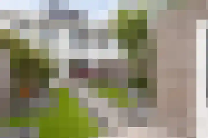 Icarusblauwtje 98 Apeldoorn thumbnail 13