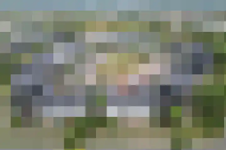 Icarusblauwtje 98 Apeldoorn thumbnail 15
