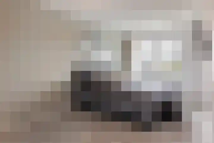 Icarusblauwtje 98 Apeldoorn thumbnail 20