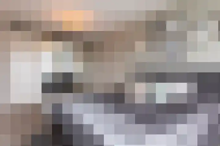 Icarusblauwtje 98 Apeldoorn thumbnail 21
