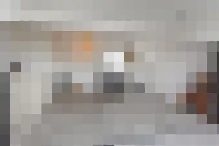Icarusblauwtje 98 Apeldoorn thumbnail 28