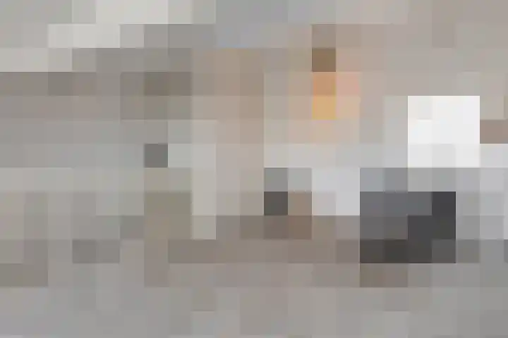 Icarusblauwtje 98 Apeldoorn thumbnail 29