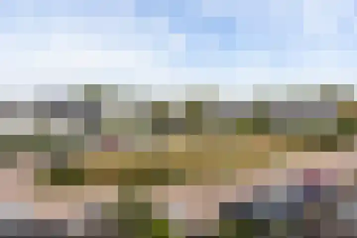 Icarusblauwtje 98 Apeldoorn thumbnail 31