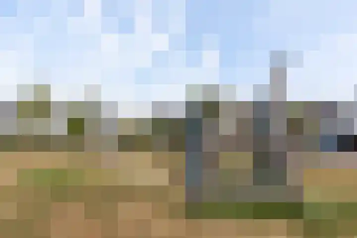 Icarusblauwtje 98 Apeldoorn thumbnail 32