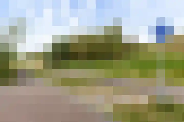 Icarusblauwtje 98 Apeldoorn thumbnail 34