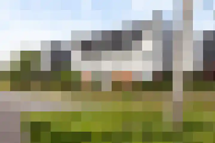 Icarusblauwtje 98 Apeldoorn thumbnail 35