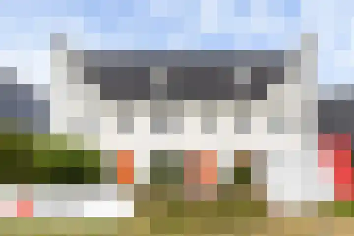 Icarusblauwtje 98 Apeldoorn thumbnail 43