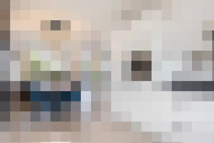 Icarusblauwtje 98 Apeldoorn thumbnail 7