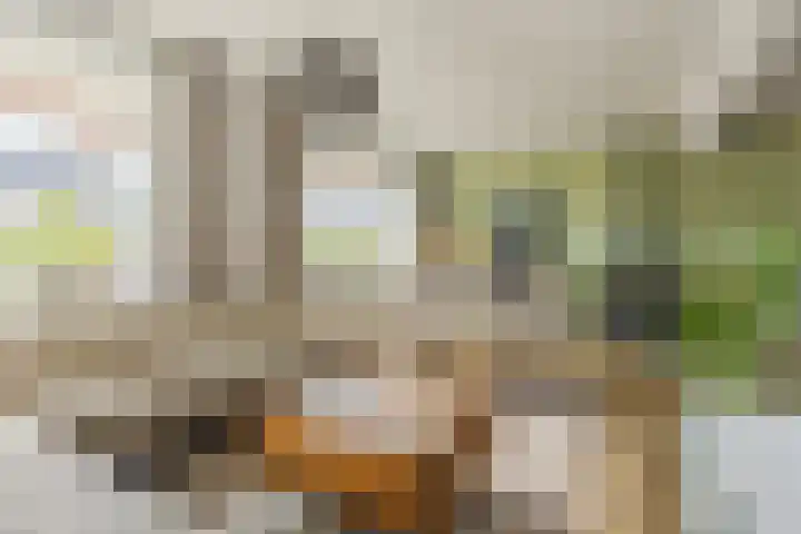 Icaruslaan 11 Eindhoven thumbnail 13