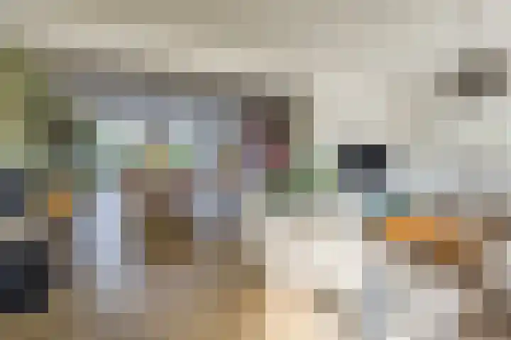 Icaruslaan 11 Eindhoven thumbnail 16