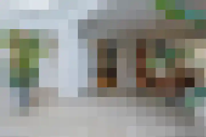 Icaruslaan 11 Eindhoven thumbnail 20