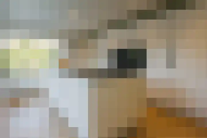 Icaruslaan 11 Eindhoven thumbnail 22