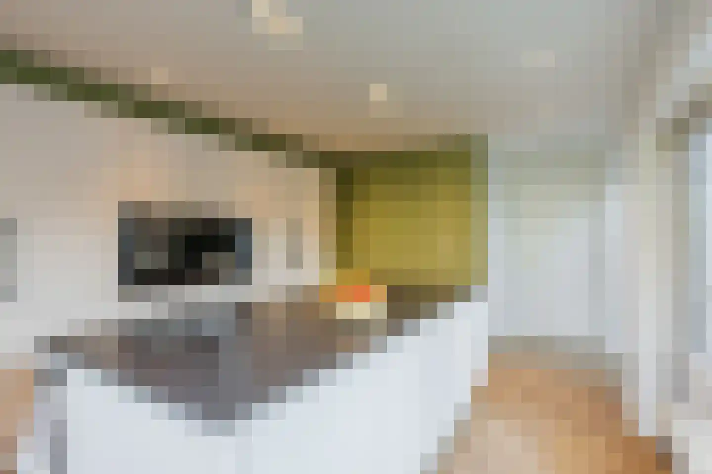 Icaruslaan 11 Eindhoven thumbnail 24