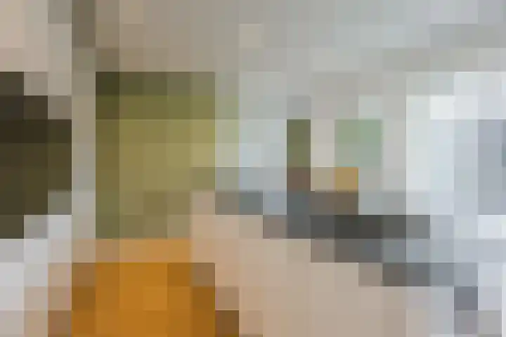 Icaruslaan 11 Eindhoven thumbnail 25
