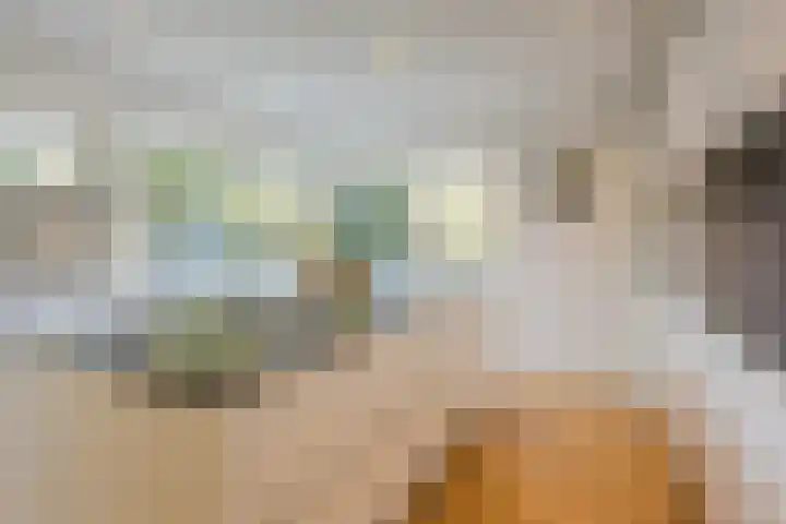 Icaruslaan 11 Eindhoven thumbnail 26