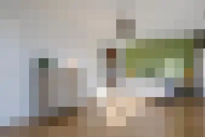 Icaruslaan 11 Eindhoven thumbnail 28