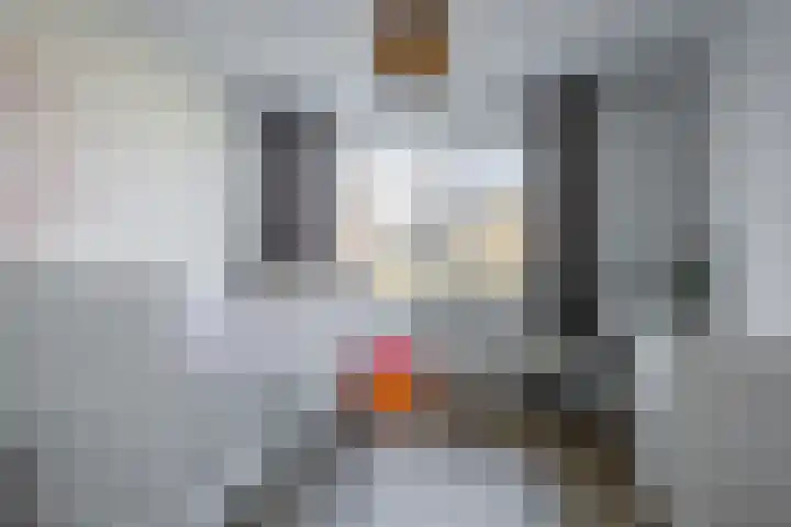Icaruslaan 11 Eindhoven thumbnail 33