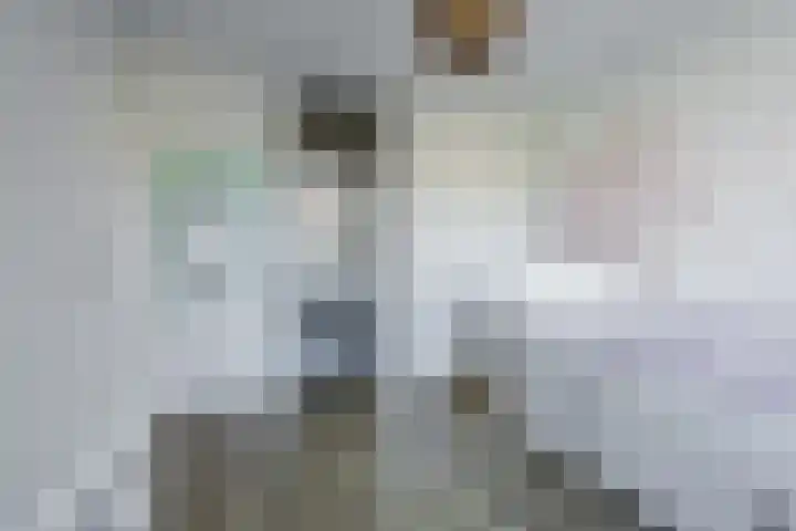 Icaruslaan 11 Eindhoven thumbnail 34