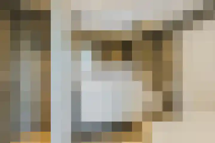 Icaruslaan 11 Eindhoven thumbnail 36