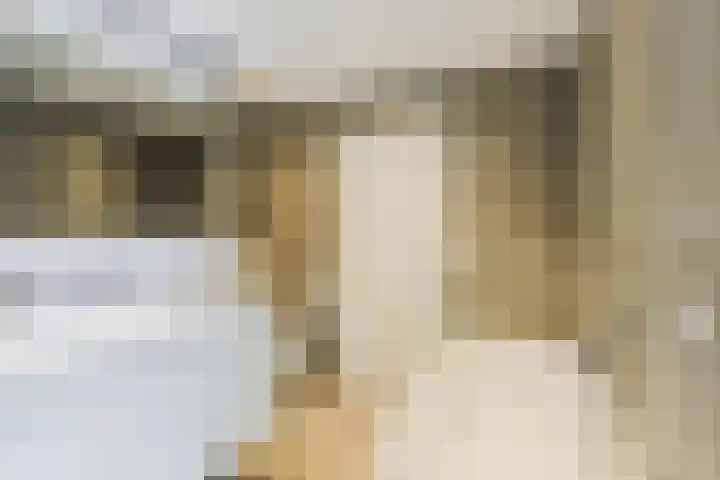 Icaruslaan 11 Eindhoven thumbnail 37