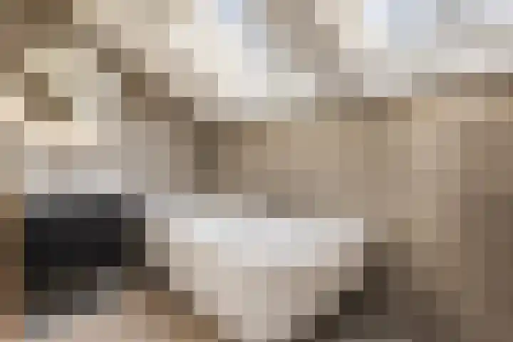 Icaruslaan 11 Eindhoven thumbnail 4