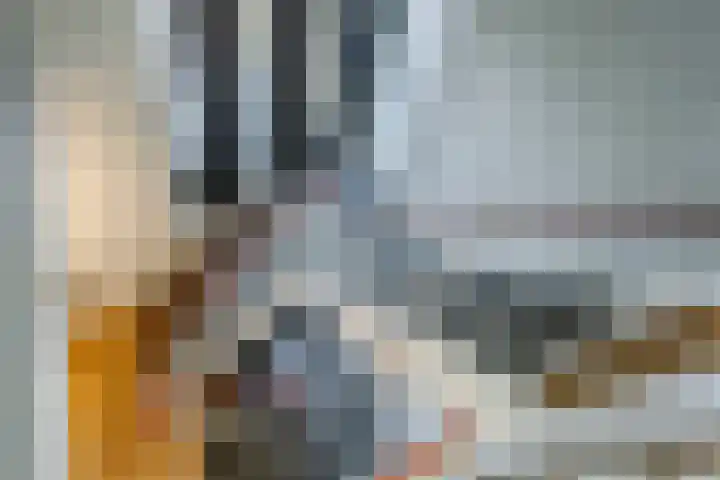 Icaruslaan 11 Eindhoven thumbnail 40