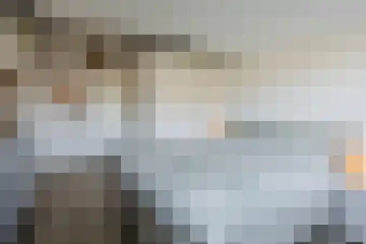 Icaruslaan 11 Eindhoven thumbnail 45