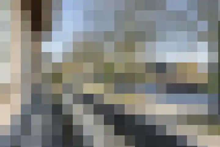 Icaruslaan 11 Eindhoven thumbnail 51