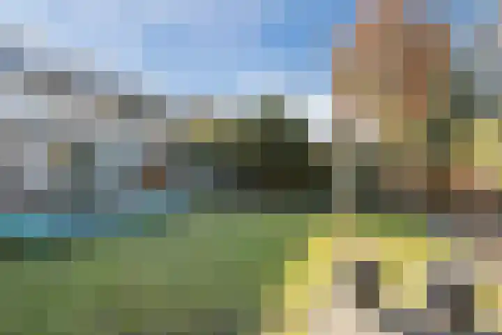 Icaruslaan 11 Eindhoven thumbnail 54