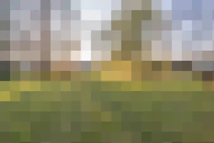 Icaruslaan 11 Eindhoven thumbnail 60