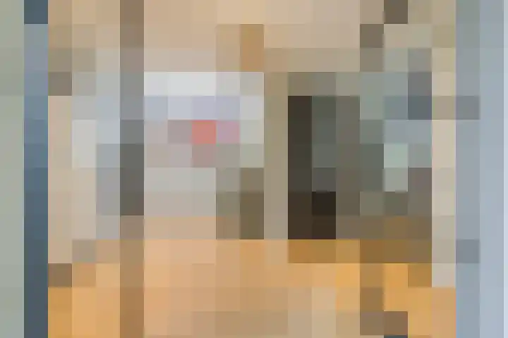 Icaruslaan 11 Eindhoven thumbnail 9