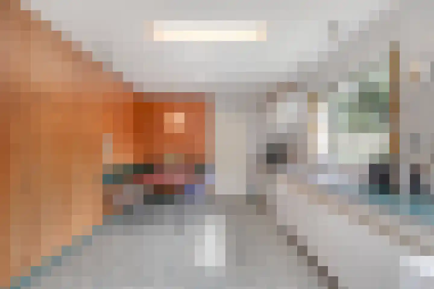 Icaruslaan 14 Eindhoven thumbnail 21