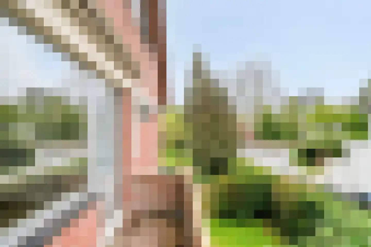 Icaruslaan 14 Eindhoven thumbnail 31