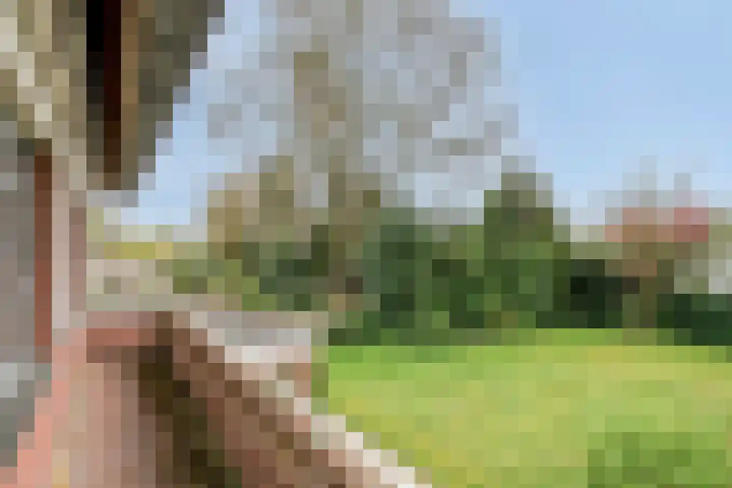 Icaruslaan 14 Eindhoven thumbnail 32