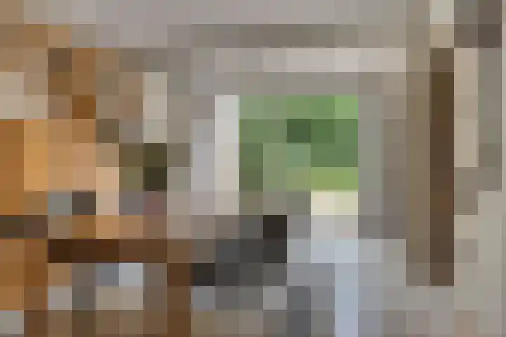 Icaruslaan 22 Eindhoven thumbnail 13