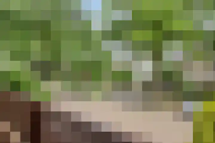 Icaruslaan 22 Eindhoven thumbnail 24