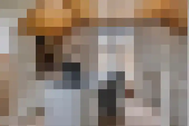 Icaruslaan 22 Eindhoven thumbnail 29