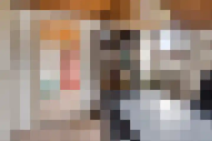 Icaruslaan 22 Eindhoven thumbnail 30