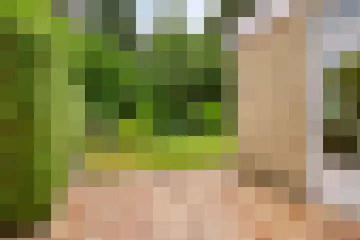Icaruslaan 22 Eindhoven thumbnail 33