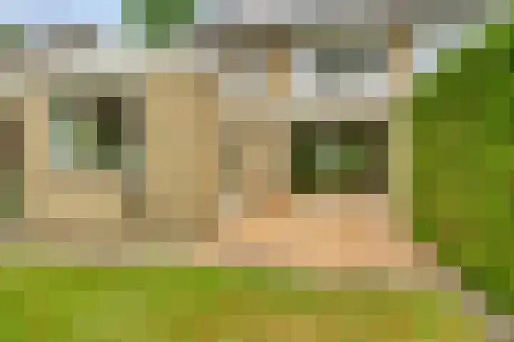 Icaruslaan 22 Eindhoven thumbnail 36