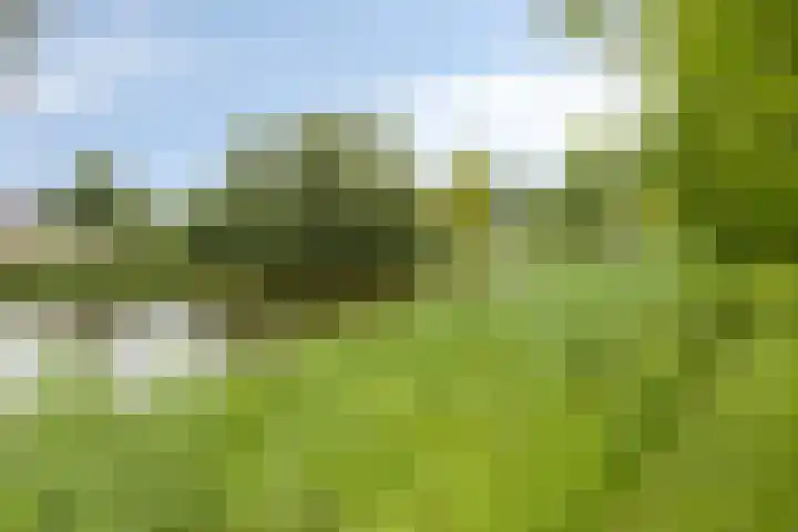Icaruslaan 22 Eindhoven thumbnail 4