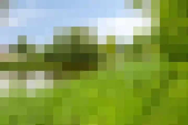 Icaruslaan 22 Eindhoven thumbnail 40