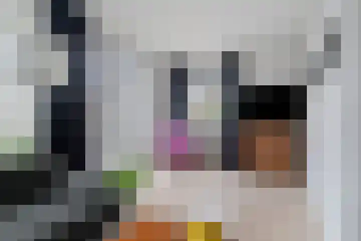 Icaruslaan 28 Eindhoven thumbnail 11