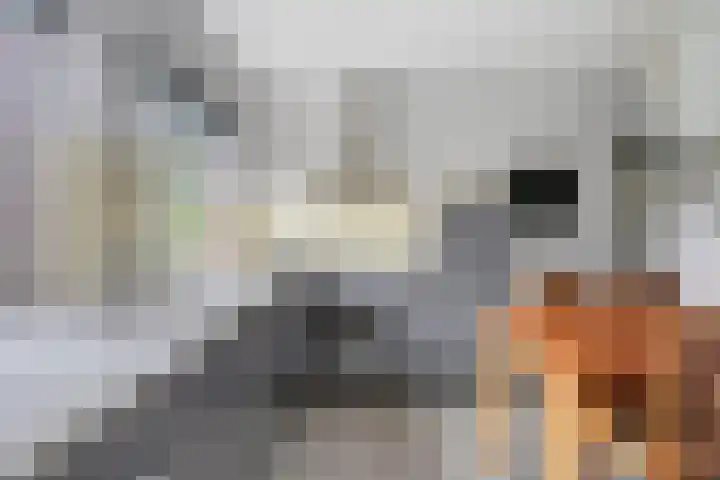 Icaruslaan 28 Eindhoven thumbnail 19