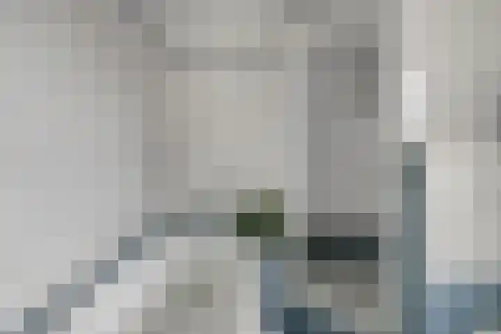 Icaruslaan 28 Eindhoven thumbnail 26