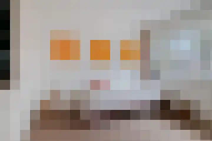 Icaruslaan 28 Eindhoven thumbnail 30