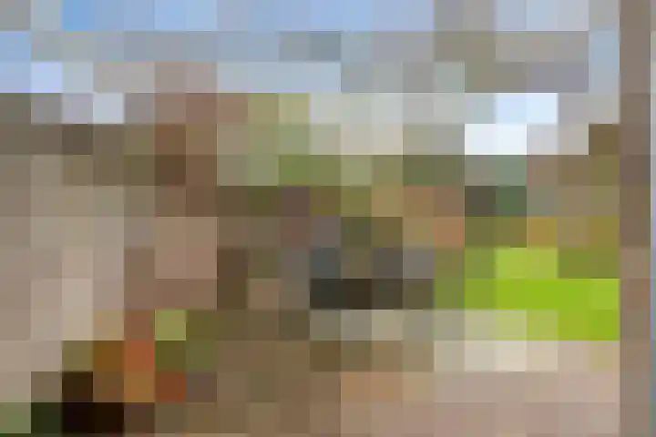 Icaruslaan 28 Eindhoven thumbnail 37