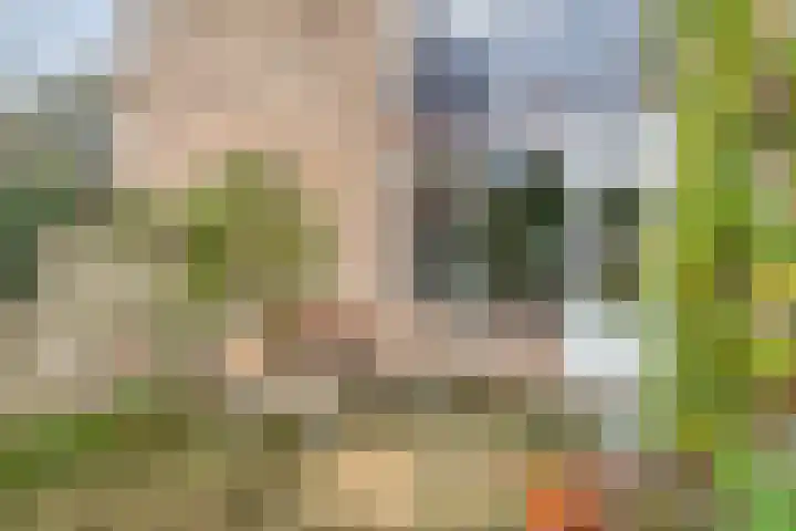 Icaruslaan 28 Eindhoven thumbnail 39